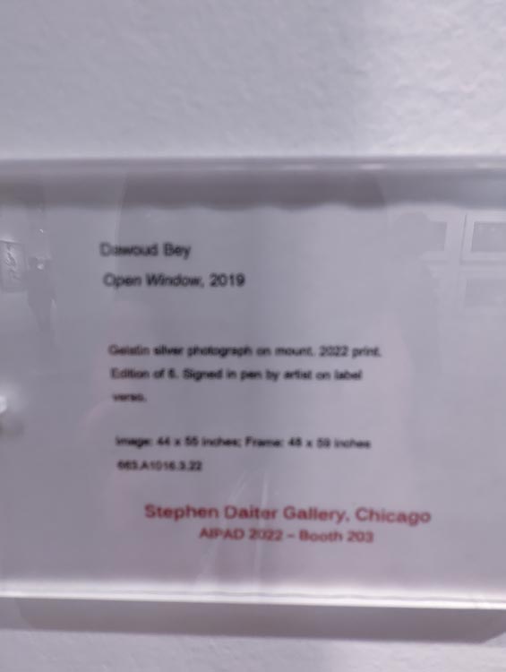 AIPAD 2022: Best Photos I've Seen Steve Giovinco