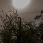 Artist Talk Bloedel Reserve, Bainbridge Island Steve Giovinco Moon Sun Over Tree
