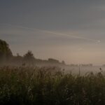 Sites at Risk of Climate Change: Night Landscape Photographs in The Netherlands, Steve Giovinco, Crops Corn in Fog, with Plane Light in Sky, Flevoland