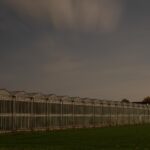 Sites at Risk of Climate Change: Night Landscape Photographs in The Netherlands, Steve Giovinco, Greenhouse Tulips, Factory-Like Building Flevoland