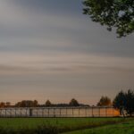Sites at Risk of Climate Change: Night Landscape Photographs in The Netherlands, Steve Giovinco, Greenhouse Tulips, with Strange Glowing Light Flevoland with Tree