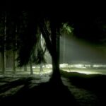 Nightlandscapes