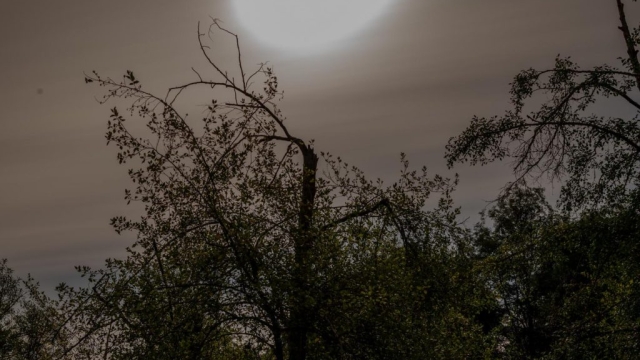 Artist Talk: Photographing the Night Landscape at Bloedel Reserve, Bainbridge Island