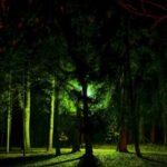 Nightlandscapes